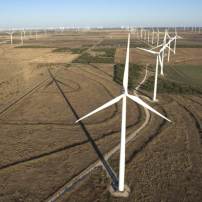 Horse Hollow Wind Energy Center (USA)